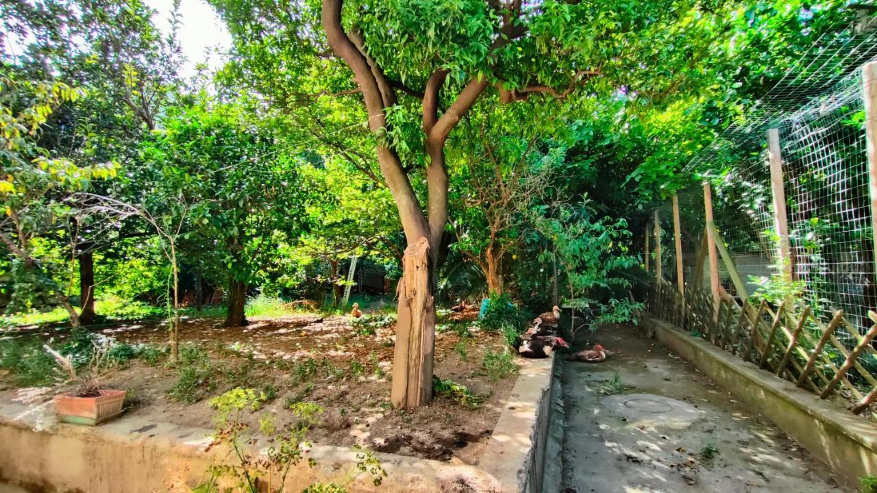 Casa Vacanza "Nonna Matilde" A Meta Di Sorrento, 600Mt Dal Mare, Casa Per 4 Екстер'єр фото